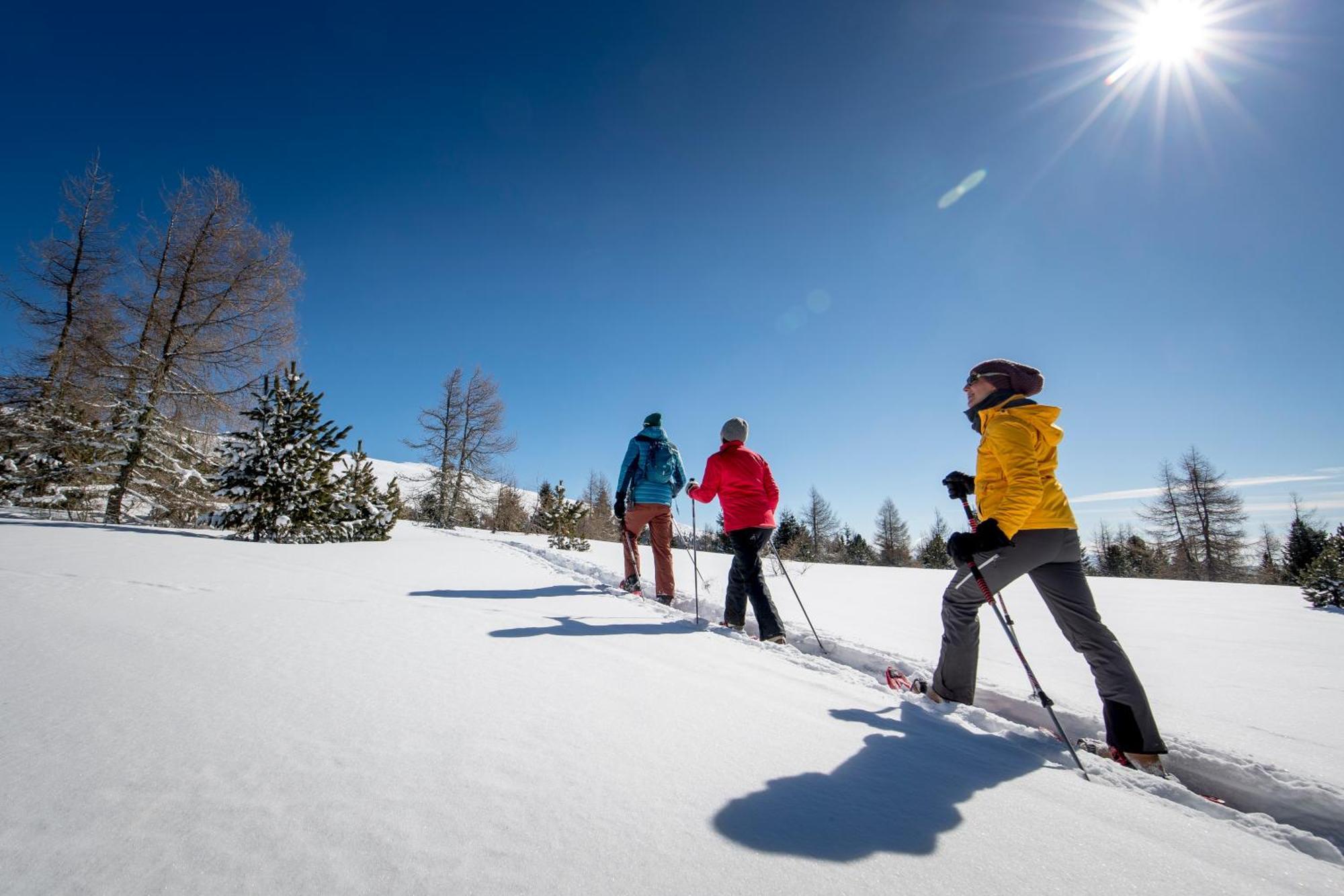 Feriendorf Murau By Alps Resorts ภายนอก รูปภาพ