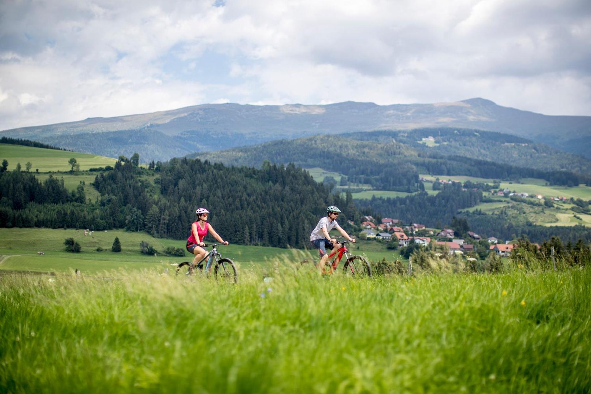 Feriendorf Murau By Alps Resorts ภายนอก รูปภาพ
